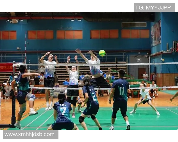 广州排球队的奋斗历程与荣耀时刻全景回顾